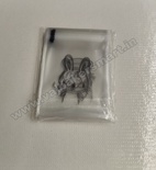 Small Cookie Pouch Self-Adhesive Packaging Bags 7x7cms (Pack of 100) D2