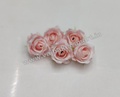 Baby Pink Rose R3 (Pack of 5)