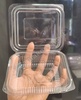 250ml Brownie PVC Hinge Box (Pack of 5)