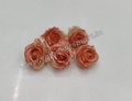 Orange Rose R7 (Pack of 5)