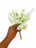 GF8 White Artificial Gypsum Flowers (New)