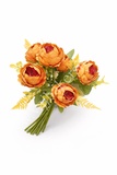 PB30 Warm Orange Peony Bunch 6F