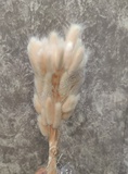 D1 Bunny Tail (Pack of 6)