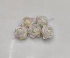 Blush White Rose R8 (Pack of 5)