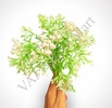 GF1 White Artificial Gypsum Flowers