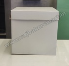 14" x 14" x 14" Tall Cake Box