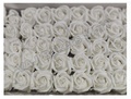 White Rose with Fragrance (Pack of 4)