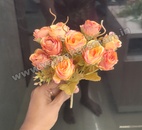 FB42 Rose Bunch Double Colour R-DC7