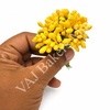 PF14 Golden Yellow Pollen Flower Bunch
