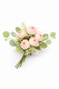 PB17 Pastel Pink Peony Bunch 5F