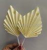Yellow Palm Leaf Topper