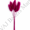 D6 Bunny Tail (Pack of 5)