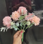 FB8 Dahlia 2in1 Lite & Dark Peach Colour Bunch