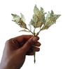 D3 Gold Asparagus Fern Leaf Bunch
