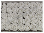 White Rose with Fragrance (Pack of 4)