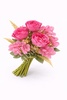 PB45 Vibrant Pink Peony Bunch 3B2S