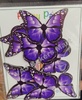 BTB53 Black Border Butterfly Toppers