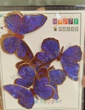 BTGL36 Gold Border Butterfly Toppers