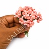 PF10 Coral Pink Pollen Flower Bunch