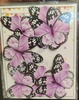 BTB49 Black Border Butterfly Toppers