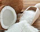 Desiccated Coconut Powder 100gms