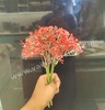 Red Artificial Gypsum Flowers
