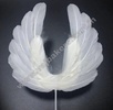 Angel Feather White Cake Topper 1Pc