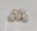 Blush White Rose R8 (Pack of 5)