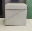 14" x 14" x 14" Tall Cake Box
