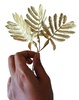 D4 Gold Fern Leaf Bunch