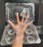 6 Cavity Cup Cake Box (Pack of 3)