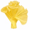 Noor Net 2M (Wrinkled Wave Mesh) - Mustard Yellow