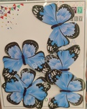 BTB57 Black Border Butterfly Toppers