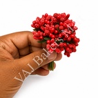 PF9 Red Pollen Flower Bunch