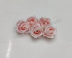 Baby Pink Rose R3 (Pack of 5)