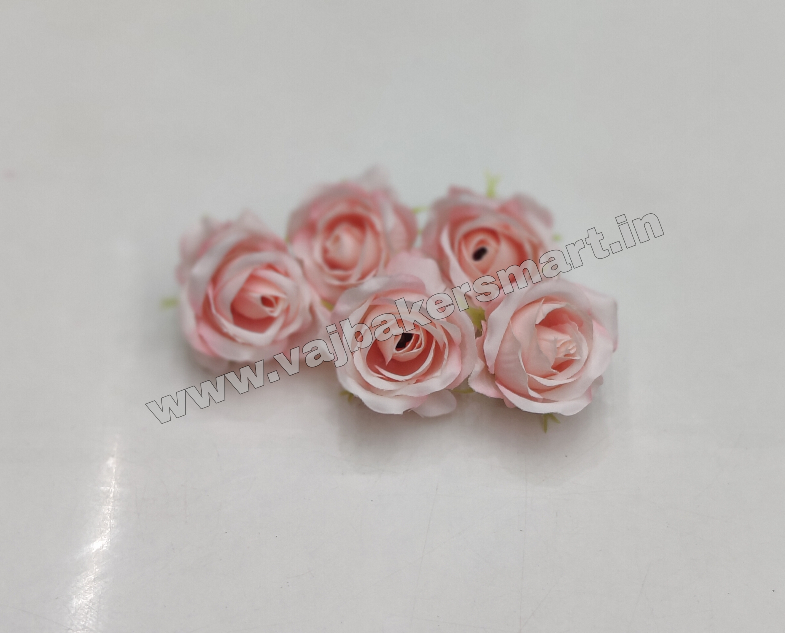 Baby Pink Rose R3 (Pack of 5)