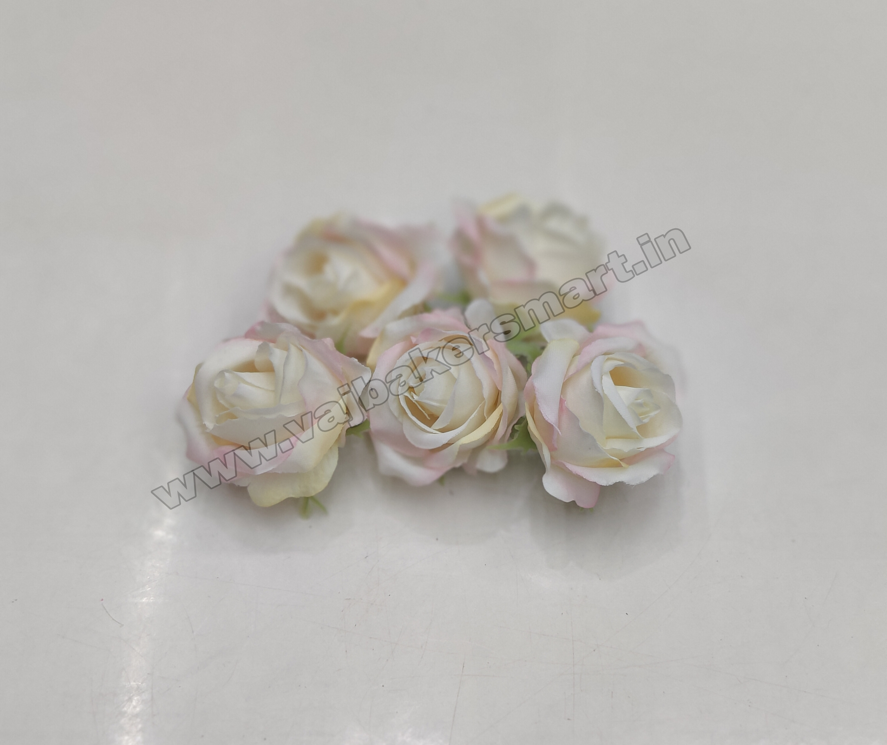 Blush White Rose R8 (Pack of 5)