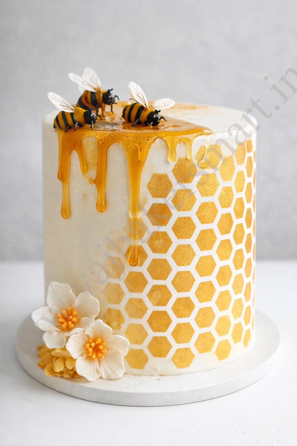 CS1 Cake Decorating Stencil