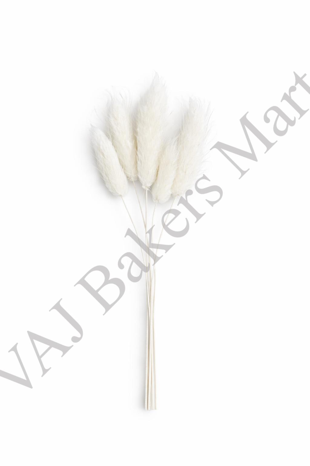 D1 Bunny Tail (Pack of 6)